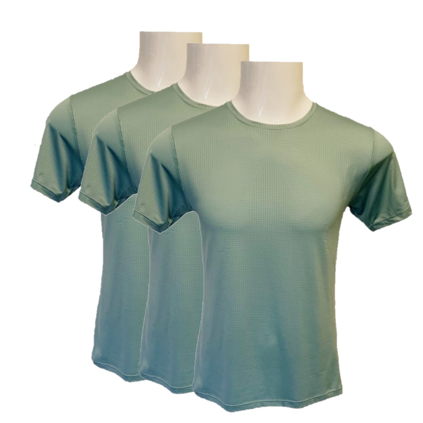 Men's Workout Short Sleeve Dry Fit Top SAGE 3 Set